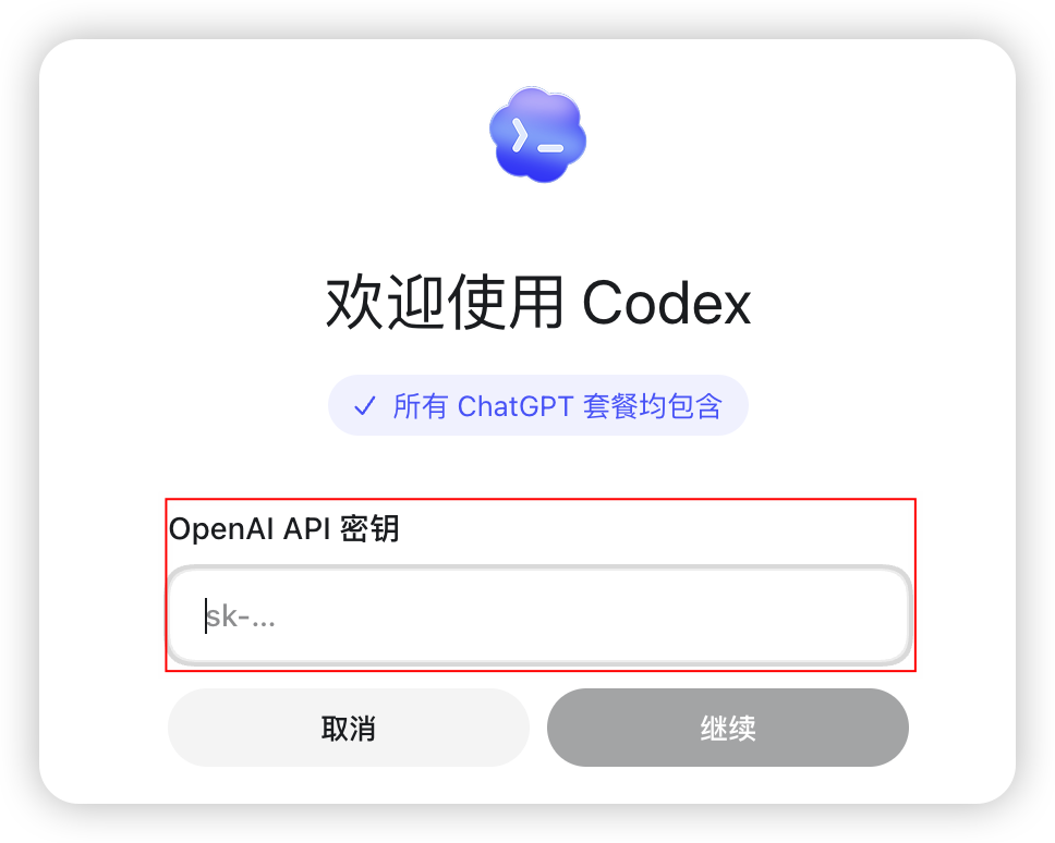 Codex 使用 API Key 登录的界面